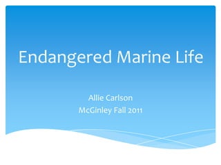 Endangered Marine Life

         Allie Carlson
       McGinley Fall 2011
 