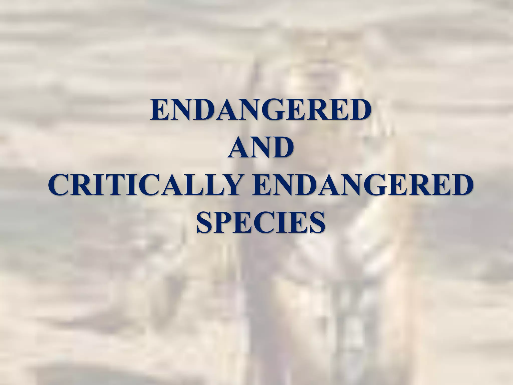 Endangered Species Presentation | PPTX