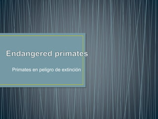 Primates en peligro de extinción
 