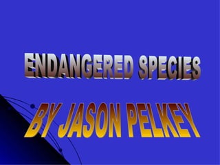 BY JASON PELKEY ENDANGERED SPECIES 