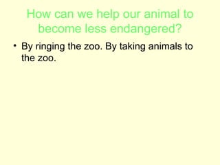 How can we help our animal to become less endangered? By ringing the zoo. By taking animals to the zoo.  
