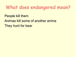 What does endangered mean? People kill them Animas kill some of another anima They hunt for bear 