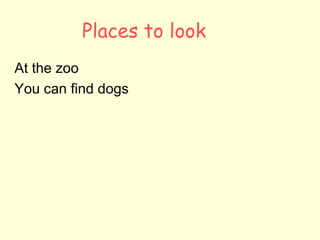 Places to look At the zoo You can find dogs 