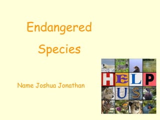 Endangered Species Name Joshua Jonathan 