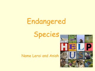 Endangered Species Name Leroi and Anish 