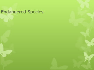 Endangered Species 