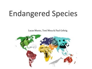 Endangered Species Lucas Muntz, Toni Mora & Paul Gehrig 