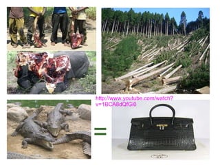 = http://www.youtube.com/watch?v=1BCA8dQfGi0 