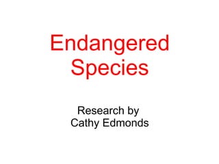 Endangered
 Species
  Research by
 Cathy Edmonds
 