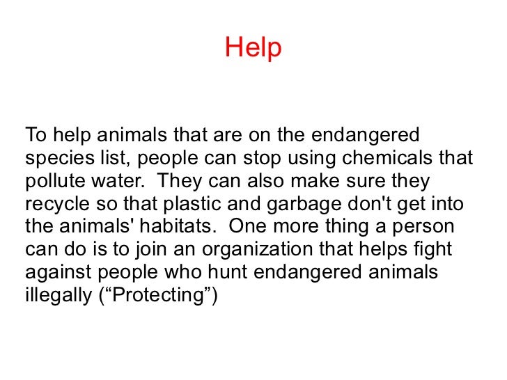 Endangered Species