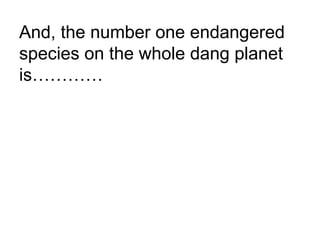 And, the number one endangered
species on the whole dang planet
is…………
 