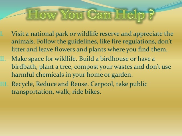 Why save endangered species essay