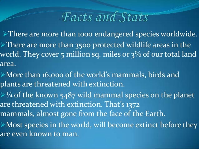 essay on endangered species