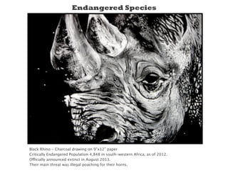 Black Rhino - Charcoal drawing on 9”x12” paper
Critically Endangered Population 4,848 in south-western Africa, as of 2012.
Officially announced extinct in August 2013.
Their main threat was illegal poaching for their horns.
Endangered Species
 