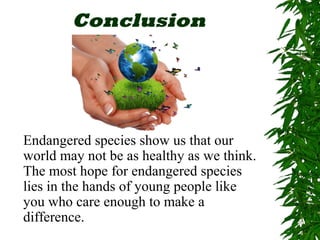Conclusion 
Endangered species show us that our 
world may not be as healthy as we think. 
The most hope for endangered species 
lies in the hands of young people like 
you who care enough to make a 
difference. 
 