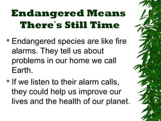 Endangered Means 
There’s Still Time 
 Endangered species are like fire 
alarms. They tell us about 
problems in our home we call 
Earth. 
 If we listen to their alarm calls, 
they could help us improve our 
lives and the health of our planet. 
 