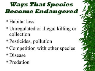 Ways That Species 
Become Endangered 
Habitat loss 
Unregulated or illegal killing or 
collection 
Pesticides, pollution 
Competition with other species 
Disease 
Predation 
 