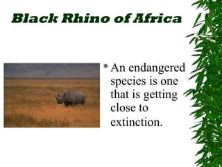Black Rhino of Africa 
An endangered 
species is one 
that is getting 
close to 
extinction. 
 