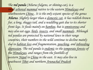 The red panda (Ailurus fulgens, or shining-cat), is a 
small arboreal mammal native to the eastern Himalayas and 
southwestern China . It is the only extant species of the genus 
Ailurus. Slightly larger than a domestic cat, it has reddish-brown 
fur, a long, shaggy tail, and a waddling gait due to its shorter 
front legs. It feeds mainly on bamboo, but is omnivorous and 
may also eat eggs, birds, insects, and small mammals. Although 
red pandas are protected by national laws in their range 
countries, their numbers in the wild continue to decline mainly 
due to habitat loss and fragmentation, poaching, and inbreeding 
depression. The red panda is endemic to the temperate forests of 
the Himalayas, and ranges from the foothills of 
western Nepal to China in the east. It may also live in 
southwest Tibet and northern Arunachal Pradesh 
 