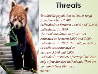 Worldwide population estimates range 
from fewer than 2,500 
individuals to between 16,000 and 20,000 
individuals. In 1999, 
the total population in China was 
estimated at between 3,000 and 7,000 
individuals. In 2001, the wild population 
in India was estimated at 
between 5,000 and 6,000 
individuals. Estimates for Nepal indicate 
only a few hundred individuals. There are 
no records from Bhutan or 
Burma. 
 