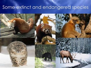Some extinct and endangered species 
 