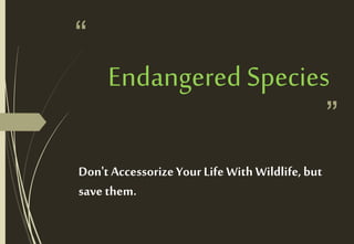 “
”
Endangered Species
Don't AccessorizeYour Life With Wildlife,but
save them.
 