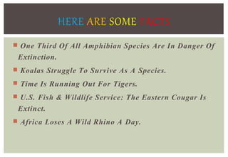  One Third Of All Amphibian Species Are In Danger Of
Extinction.
 Koalas Struggle To Survive As A Species.
 Time Is Running Out For Tigers.
 U.S. Fish & Wildlife Service: The Eastern Cougar Is
Extinct.
 Africa Loses A Wild Rhino A Day.
HERE ARE SOME FACTS
 