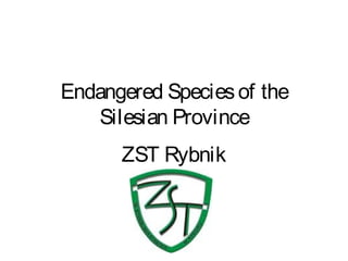 Endangered Speciesof the
Silesian Province
ZST Rybnik
 