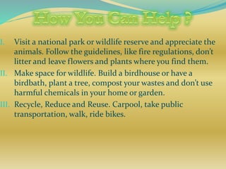 I. Visit a national park or wildlife reserve and appreciate the
animals. Follow the guidelines, like fire regulations, don’t
litter and leave flowers and plants where you find them.
II. Make space for wildlife. Build a birdhouse or have a
birdbath, plant a tree, compost your wastes and don’t use
harmful chemicals in your home or garden.
III. Recycle, Reduce and Reuse. Carpool, take public
transportation, walk, ride bikes.
 