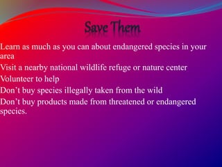 Learn as much as you can about endangered species in your
area
Visit a nearby national wildlife refuge or nature center
Volunteer to help
Don’t buy species illegally taken from the wild
Don’t buy products made from threatened or endangered
species.
 