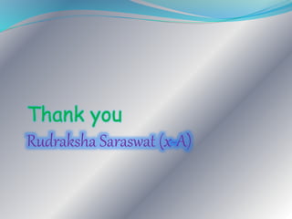 Thank you
Rudraksha Saraswat (x-A)
 