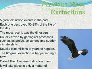 5 great extinction events in the past.
Each one destroyed 50-95% of the life of
the day.
The most recent, was the dinosaurs.
Usually driven by geological processes
such as asteroids, volcanoes and sudden
climate shifts.
Usually take millions of years to happen.
The 6th great extinction is happening right
now.
Called The Holocene Extinction Event.
It will take place in only a matter of
 