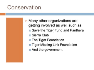 Conservation

         Many other organizations are
          getting involved as well such as:
           Save  the Tig...