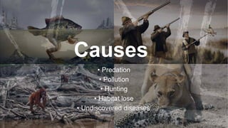 Endangered Species-Earth Day.pptx