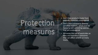 Endangered Species-Earth Day.pptx