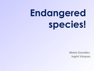 Endangered species! Mireia González  Ingrid Vázquez 