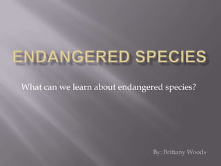 Endangered Species What can we learn about endangered species? By: Brittany Woods 