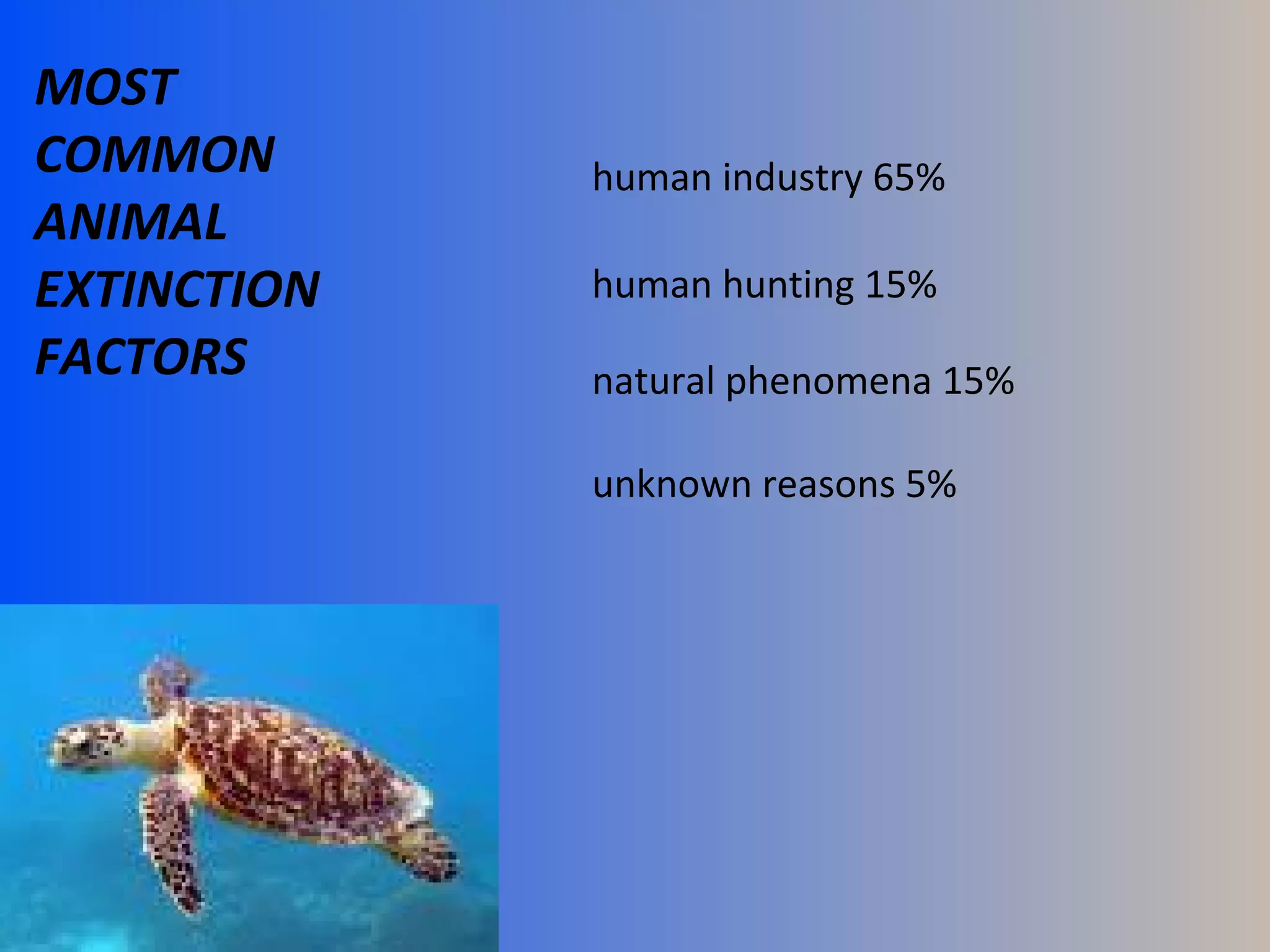 MOST
COMMON
ANIMAL
EXTINCTION
FACTORS
human industry 65%
natural phenomena 15%
human hunting 15%
unknown reasons 5%
 
