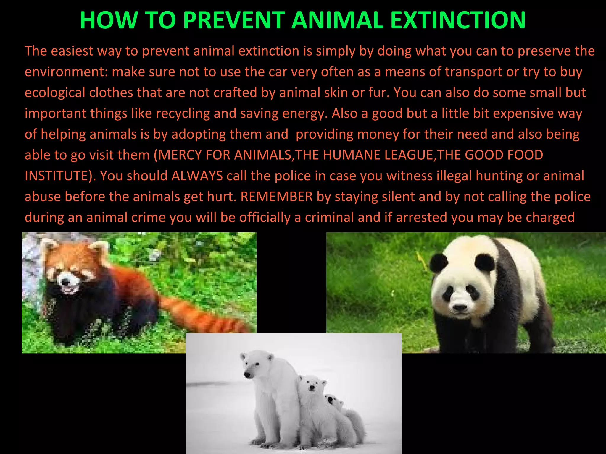 The easiest way to prevent animal extinction is simply by doing what you can to preserve the
environment: make sure not to use the car very often as a means of transport or try to buy
ecological clothes that are not crafted by animal skin or fur. You can also do some small but
important things like recycling and saving energy. Also a good but a little bit expensive way
of helping animals is by adopting them and providing money for their need and also being
able to go visit them (MERCY FOR ANIMALS,THE HUMANE LEAGUE,THE GOOD FOOD
INSTITUTE). You should ALWAYS call the police in case you witness illegal hunting or animal
abuse before the animals get hurt. REMEMBER by staying silent and by not calling the police
during an animal crime you will be officially a criminal and if arrested you may be charged
with a lifetime prison penalty!
HOW TO PREVENT ANIMAL EXTINCTION
 
