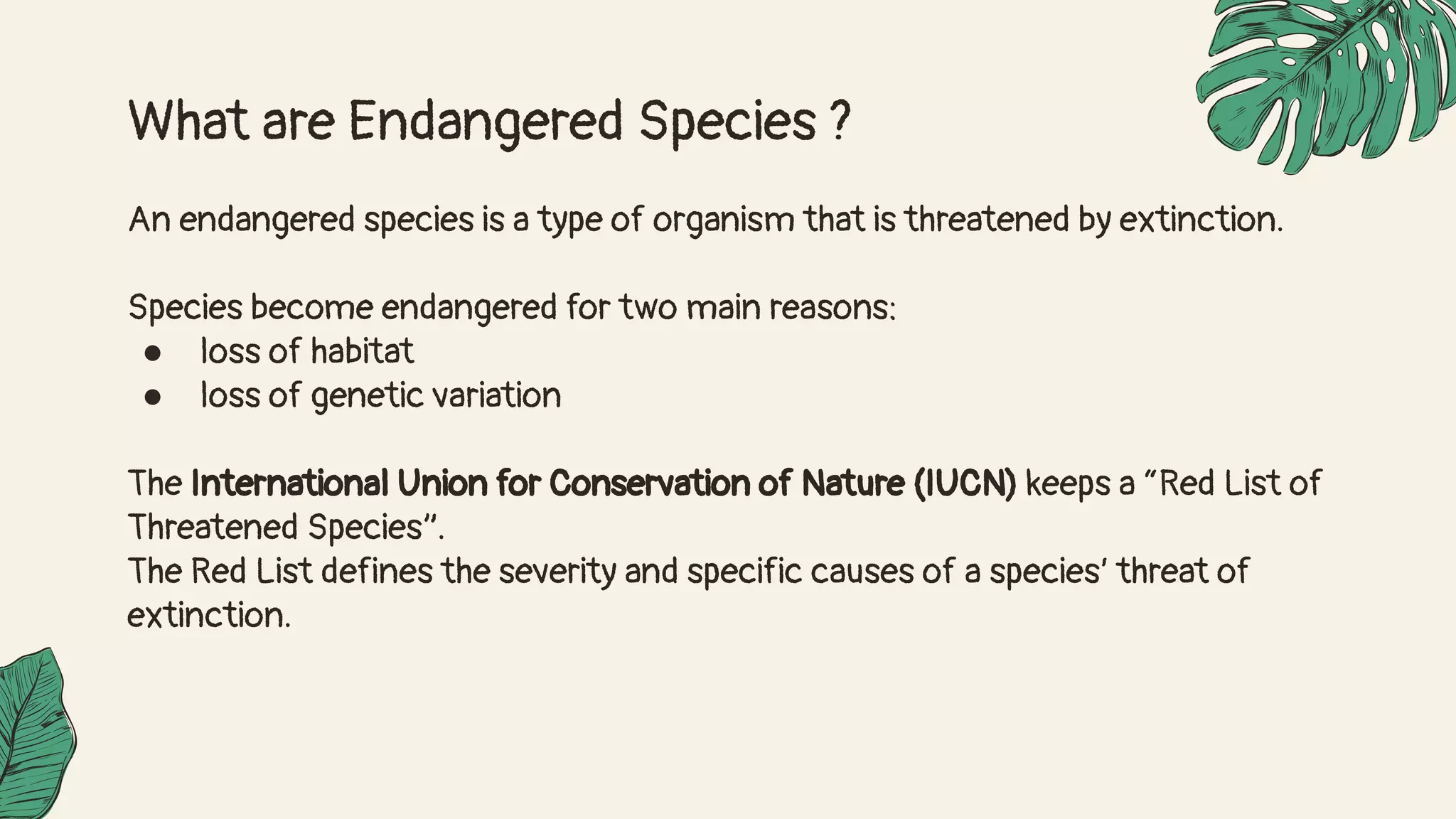 Endangered Species.pdf
