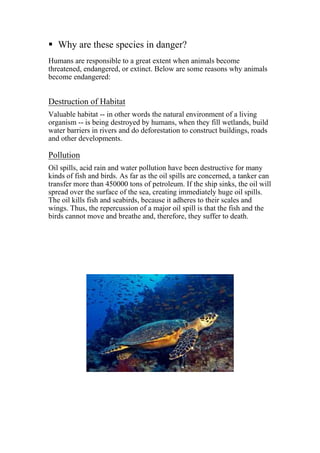 Why are these species in danger?
Humans are responsible to a great extent when animals become
threatened, endangered, or extinct. Below are some reasons why animals
become endangered:
Destruction of Habitat
Valuable habitat -- in other words the natural environment of a living
organism -- is being destroyed by humans, when they fill wetlands, build
water barriers in rivers and do deforestation to construct buildings, roads
and other developments.
Pollution
Oil spills, acid rain and water pollution have been destructive for many
kinds of fish and birds. As far as the oil spills are concerned, a tanker can
transfer more than 450000 tons of petroleum. If the ship sinks, the oil will
spread over the surface of the sea, creating immediately huge oil spills.
The oil kills fish and seabirds, because it adheres to their scales and
wings. Thus, the repercussion of a major oil spill is that the fish and the
birds cannot move and breathe and, therefore, they suffer to death.
 