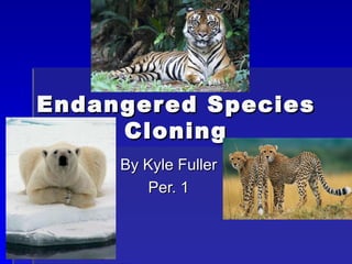 Endangered Species Cloning By Kyle Fuller Per. 1 