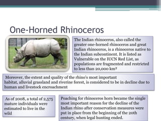 Endangered species in india | PPTX