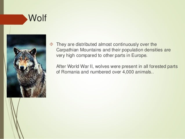 My English Classroom : Endangered animals in Ukraine.