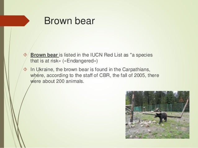 My English Classroom : Endangered animals in Ukraine.