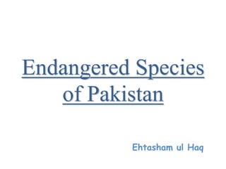 Endangered Species
of Pakistan
Ehtasham ul Haq
 