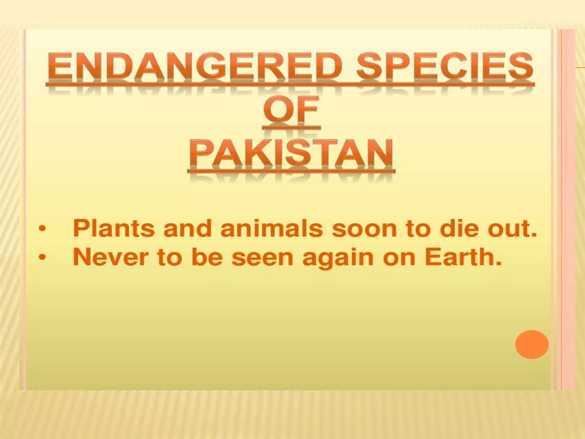 Endangered species of pakistan A Lecture By Mr Allah Dad Khan Visiting ...