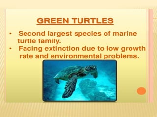 Endangered species of pakistan A Lecture By Mr Allah Dad Khan Visiting ...
