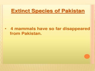 Endangered species of pakistan A Lecture By Mr Allah Dad Khan Visiting ...