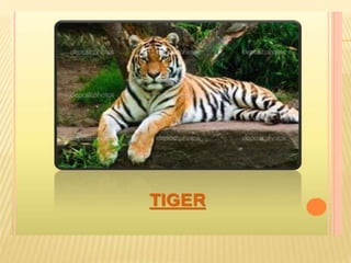 Endangered species of pakistan A Lecture By Mr Allah Dad Khan Visiting ...